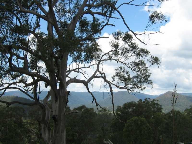 109 Moores Road, The Risk NSW 2474
