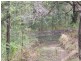 109 Moores Road, The Risk NSW 2474