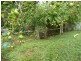 1053 Green Pigeon Road, Kyogle NSW 2474