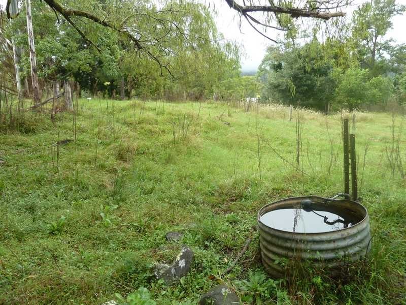 1053 Green Pigeon Road, Kyogle NSW 2474