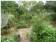 1053 Green Pigeon Road, Kyogle NSW 2474