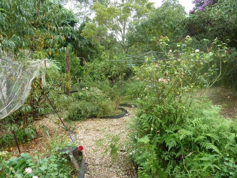 1053 Green Pigeon Road, Kyogle NSW 2474