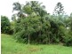 1053 Green Pigeon Road, Kyogle NSW 2474