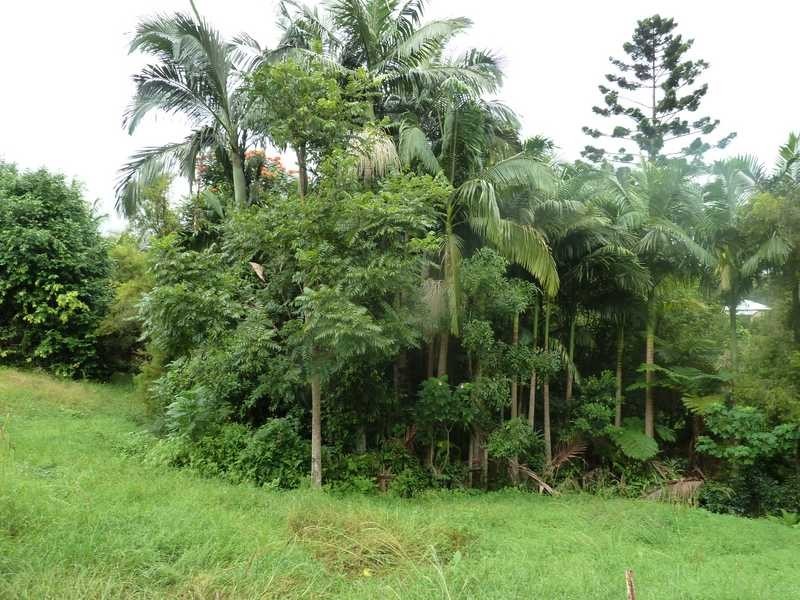 1053 Green Pigeon Road, Kyogle NSW 2474