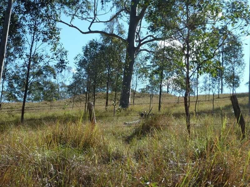 7 Carey Street, Bonalbo NSW 2469