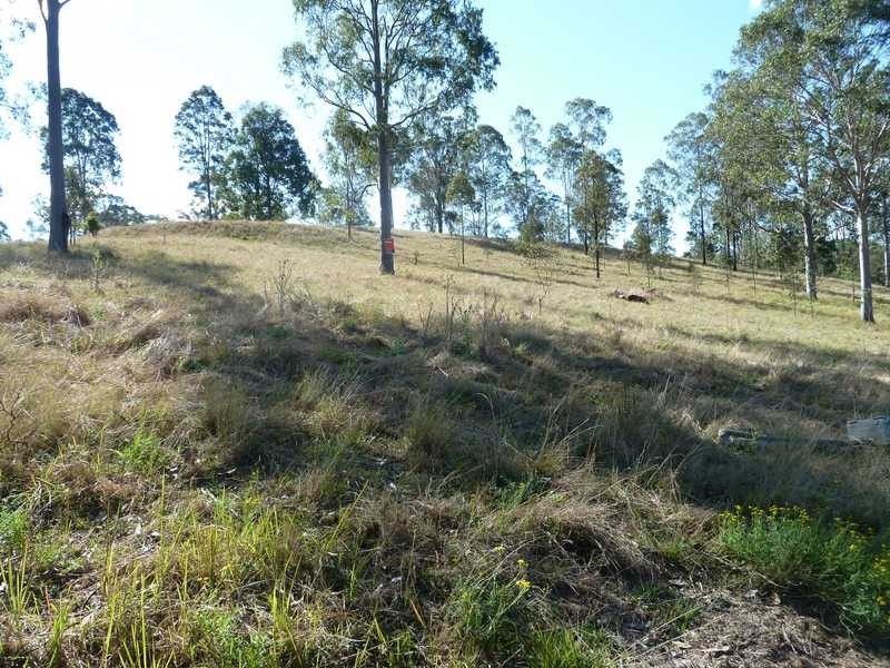 7 Carey Street, Bonalbo NSW 2469