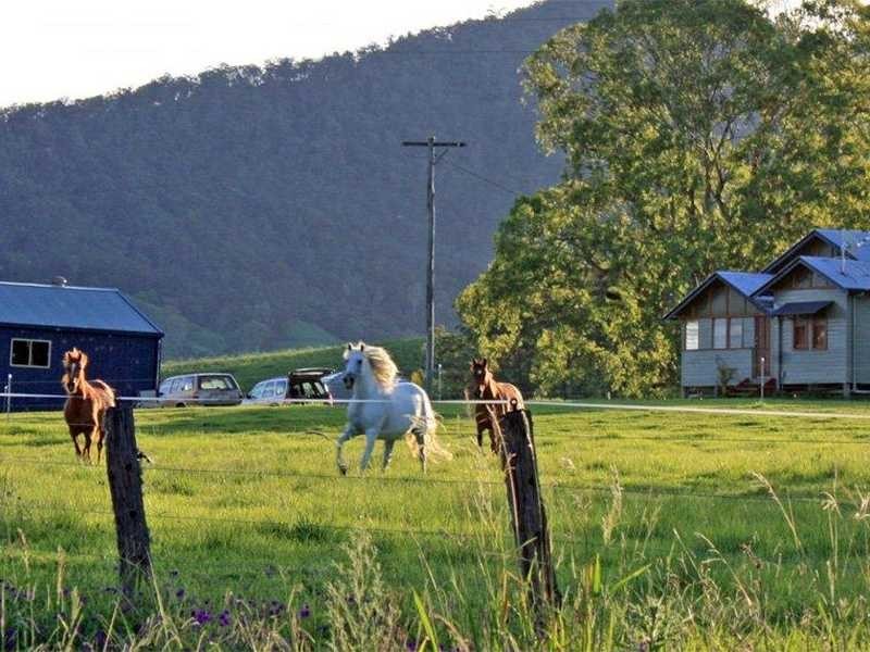 1703 Collins Creek Road, Kyogle NSW 2474