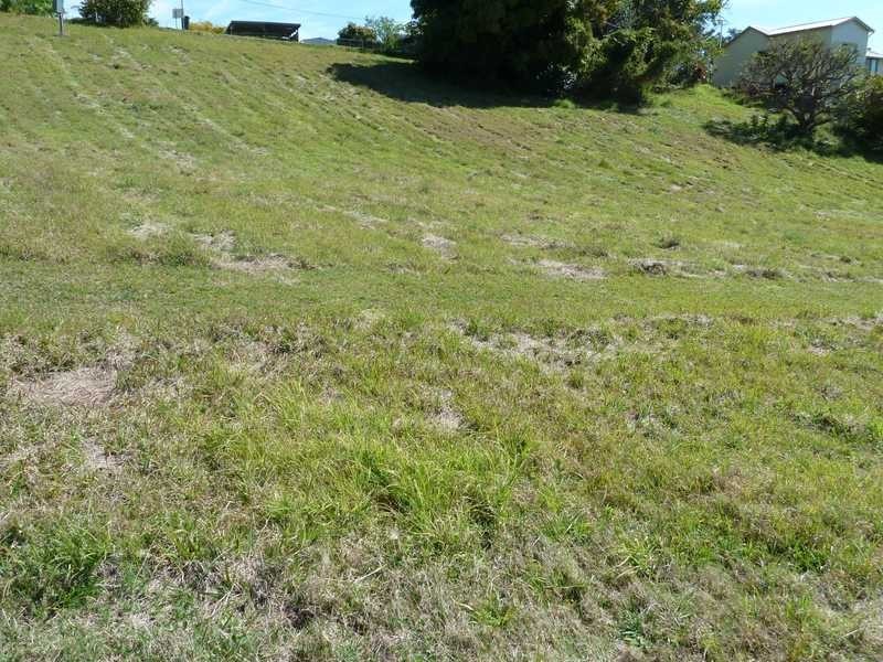 55 Colin Street, Kyogle NSW 2474