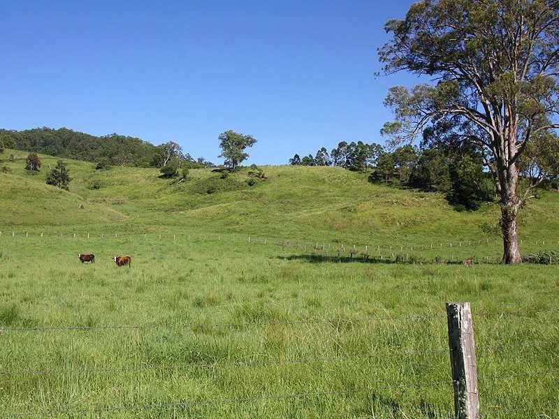 Kyogle NSW 2474