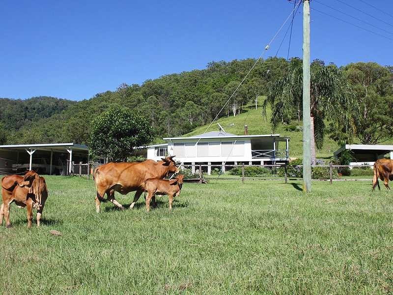 Kyogle NSW 2474