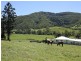 Kyogle NSW 2474