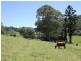 Kyogle NSW 2474