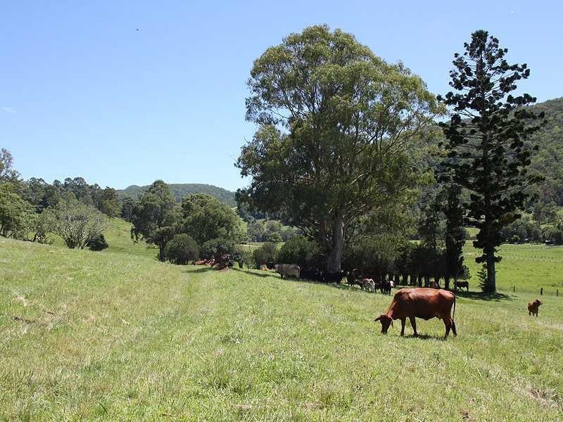 Kyogle NSW 2474