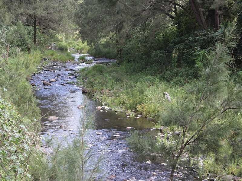 Kyogle NSW 2474