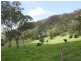 Kyogle NSW 2474