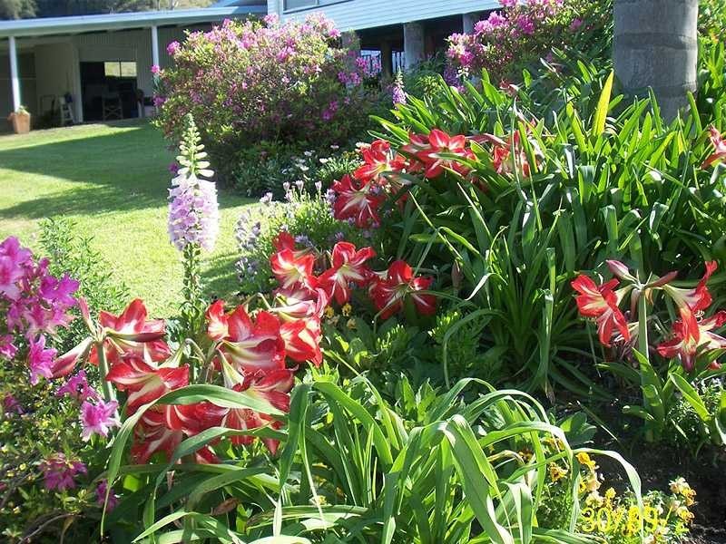 Kyogle NSW 2474