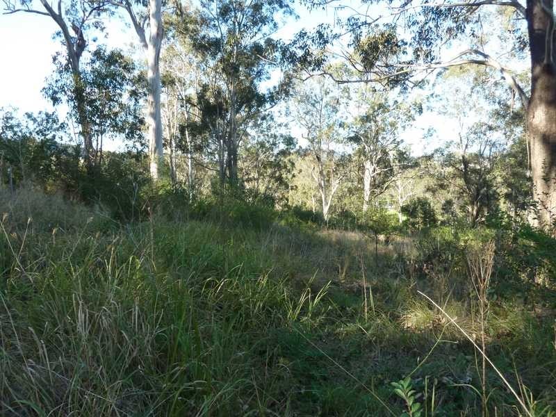 Lot 3 Forest Avenue Urbenville, Urbenville NSW 2475