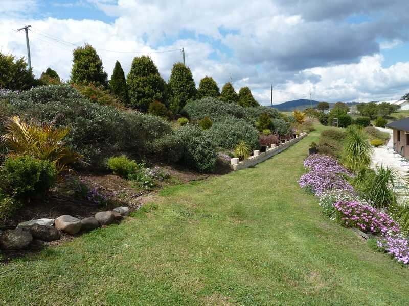 251 Collins Creek Road, Collins Creek NSW 2474