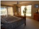 251 Collins Creek Road, Collins Creek NSW 2474