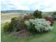251 Collins Creek Road, Collins Creek NSW 2474