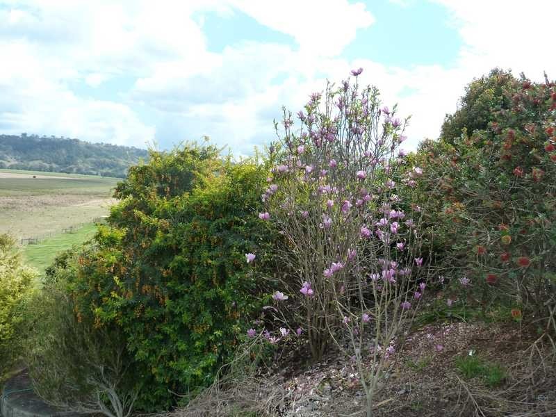 251 Collins Creek Road, Collins Creek NSW 2474