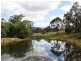 Old Bonalbo NSW 2469