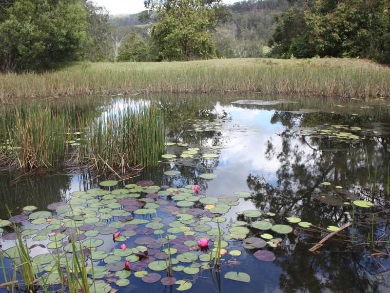 Old Bonalbo NSW 2469