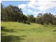 Old Bonalbo NSW 2469
