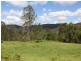 Old Bonalbo NSW 2469