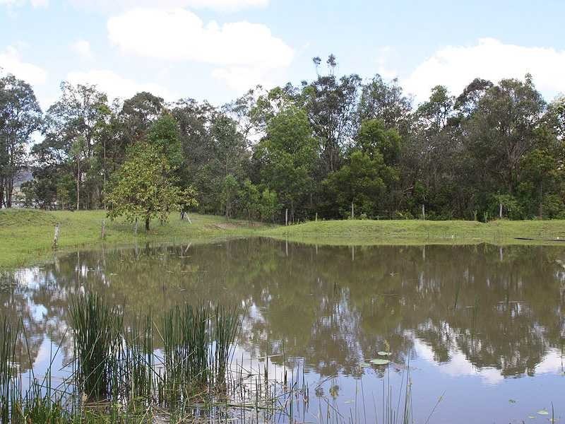 Old Bonalbo NSW 2469