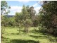 Old Bonalbo NSW 2469