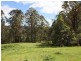 Old Bonalbo NSW 2469