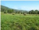 1703 Collins Creek Road Collins Creek Via, Kyogle NSW 2474
