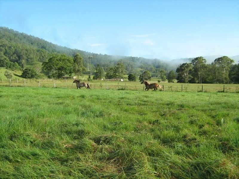 1703 Collins Creek Road Collins Creek Via, Kyogle NSW 2474