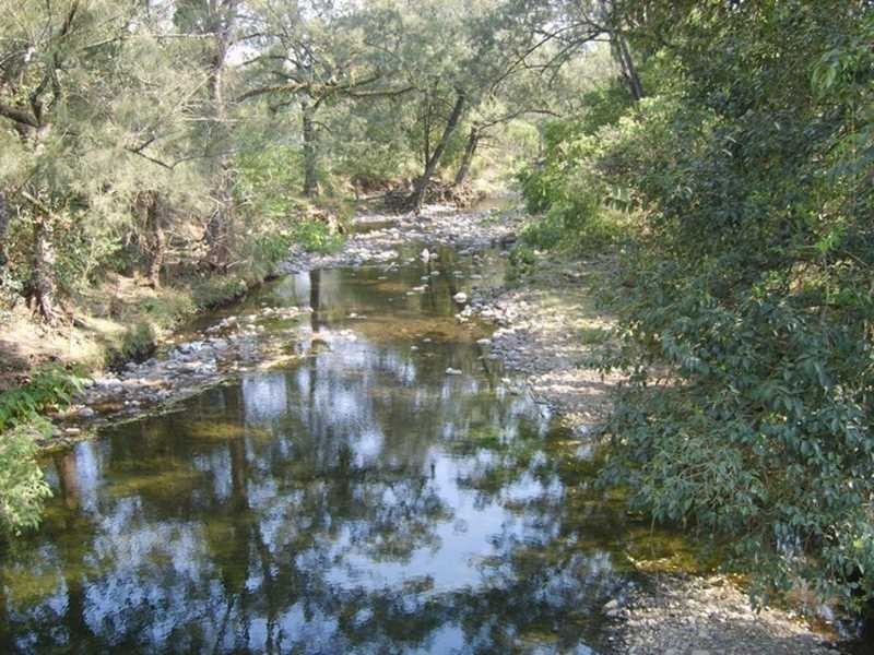 1703 Collins Creek Road Collins Creek Via, Kyogle NSW 2474