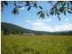 1703 Collins Creek Road Collins Creek Via, Kyogle NSW 2474