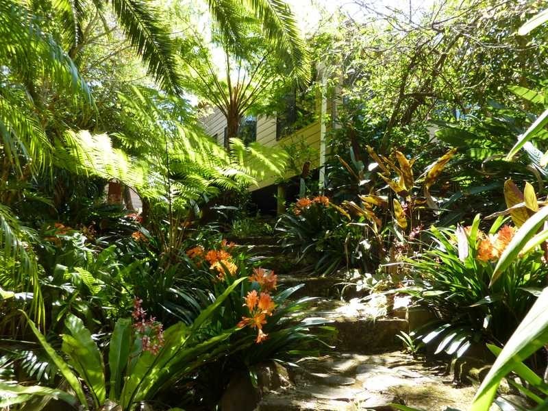 1125 Green Pigeon Road, Green Pigeon NSW 2474