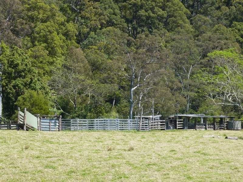 1125 Green Pigeon Road, Green Pigeon NSW 2474