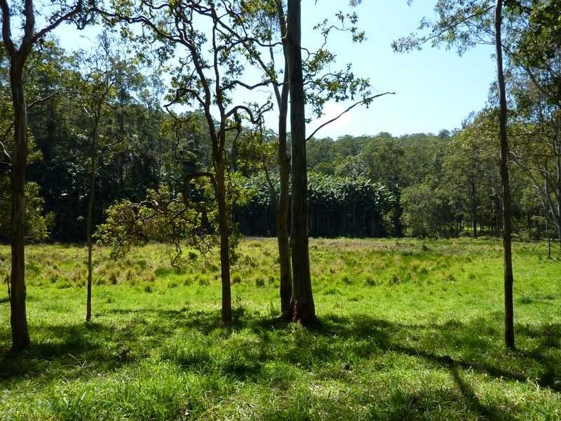 1125 Green Pigeon Road, Green Pigeon NSW 2474