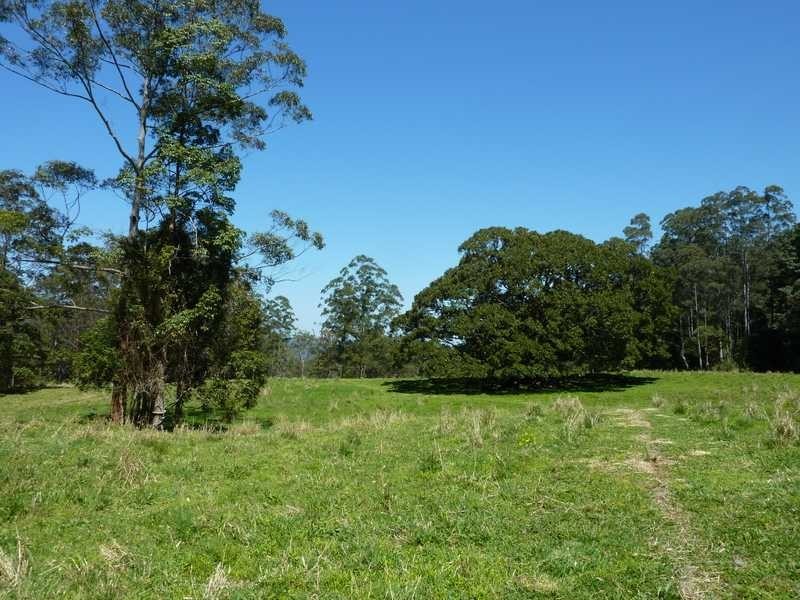 1125 Green Pigeon Road, Green Pigeon NSW 2474