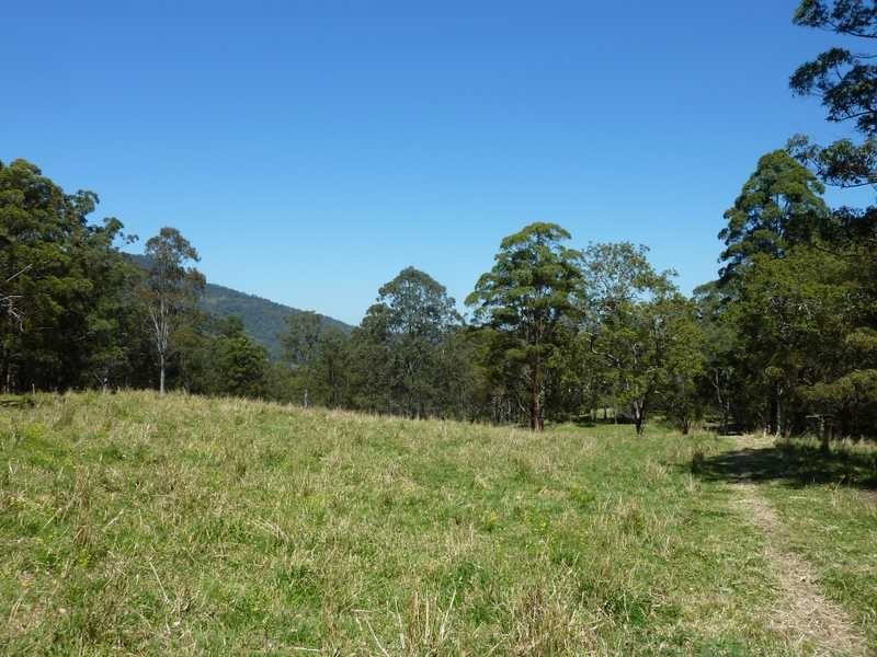 1125 Green Pigeon Road, Green Pigeon NSW 2474