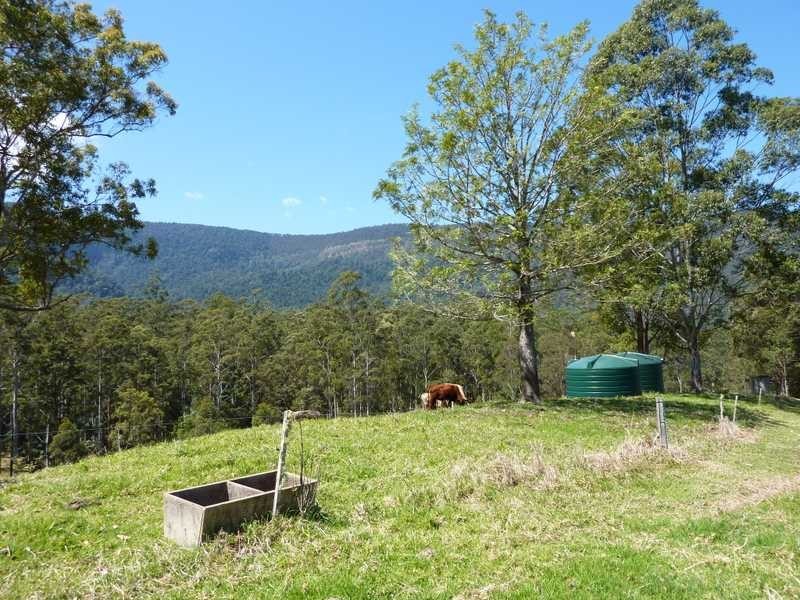 1125 Green Pigeon Road, Green Pigeon NSW 2474