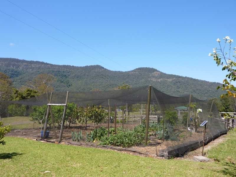 1125 Green Pigeon Road, Green Pigeon NSW 2474