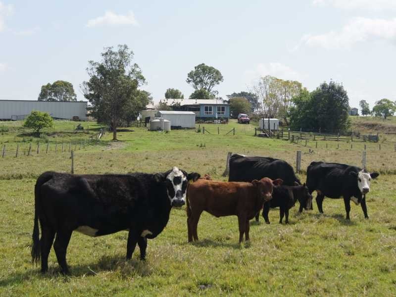 110 Baraimal Lane Cedar Point, Kyogle NSW 2474