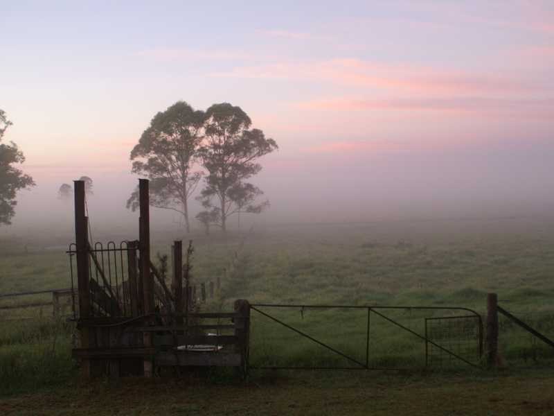 110 Baraimal Lane Cedar Point, Kyogle NSW 2474