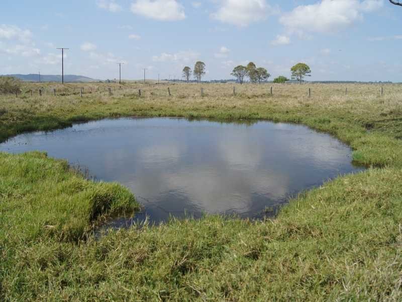 110 Baraimal Lane Cedar Point, Kyogle NSW 2474