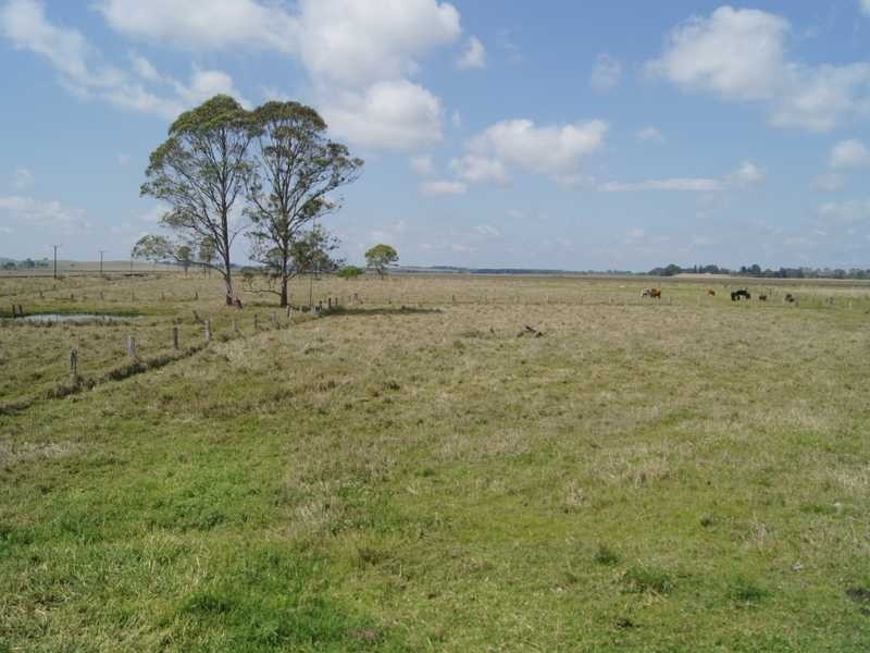 110 Baraimal Lane Cedar Point, Kyogle NSW 2474