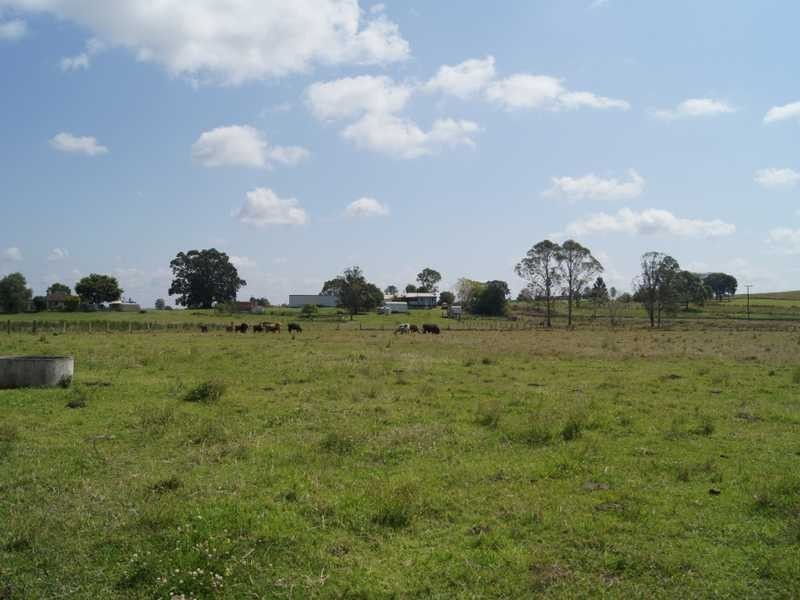 110 Baraimal Lane Cedar Point, Kyogle NSW 2474