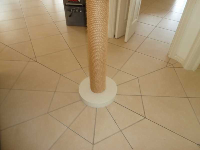 845 Eden Creek Road UPPER EDEN CREEK Via, Kyogle NSW 2474