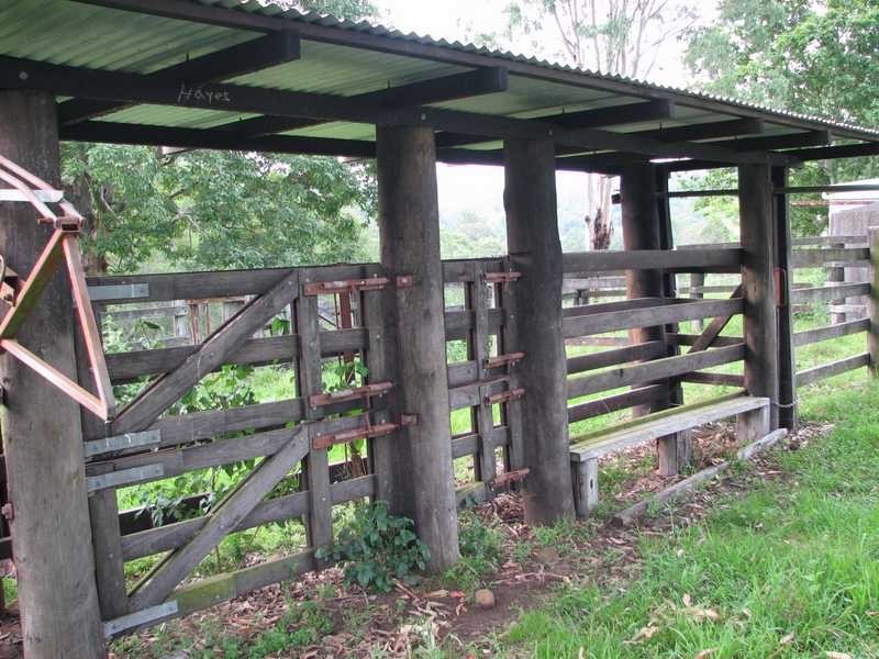 845 Eden Creek Road UPPER EDEN CREEK Via, Kyogle NSW 2474
